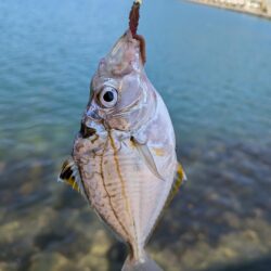 釣り場を転々と